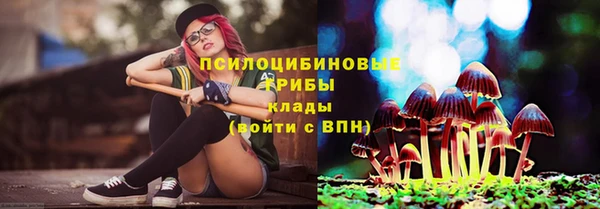 PSILOCYBIN Арсеньев