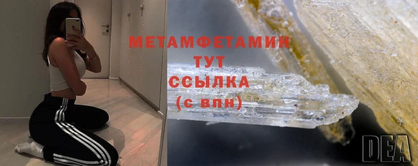 прущие грибы Армянск