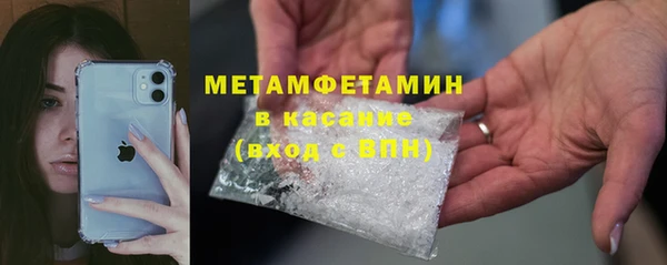 прущие грибы Армянск