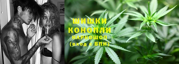 прущие грибы Армянск