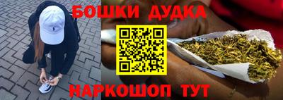 МДПВ Пенза