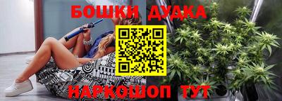 МДПВ Пенза