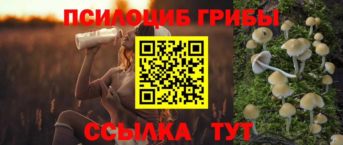 Псилоцибиновые грибы мицелий  Вход с VPN  Галлюциногенные грибы GOLDEN TEACHER  Барабинск 